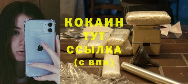 крисы Баксан