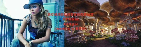 крисы Баксан