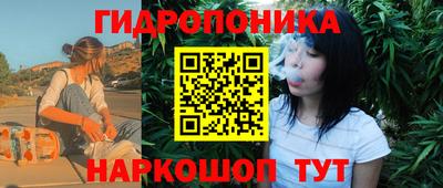 индика Ирбит