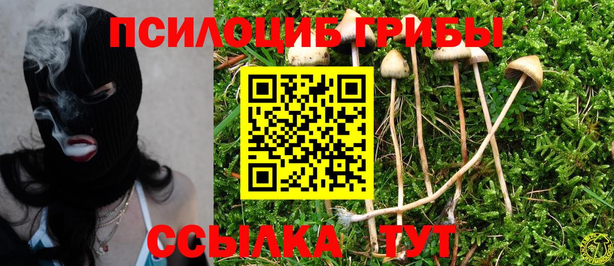 Минеральные Воды  Псилоцибиновые грибы мицелий  Галлюциногенные грибы MAGIC MUSHROOMS  Вход с VPN 