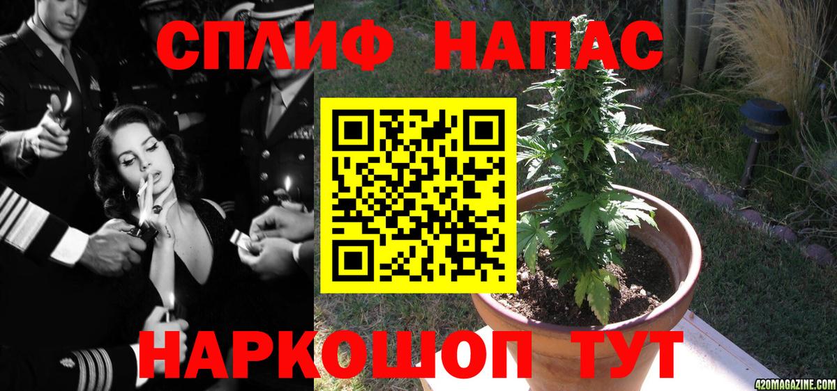 Бошки марихуана OG Kush  Вход с VPN  Каннабис семена  Конопля гибрид  Минеральные Воды 